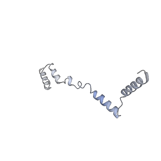 2876_3j9m_AZ_v1-1
Structure of the human mitochondrial ribosome (class 1)