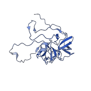 2876_3j9m_D_v1-1
Structure of the human mitochondrial ribosome (class 1)