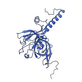 2876_3j9m_E_v1-1
Structure of the human mitochondrial ribosome (class 1)