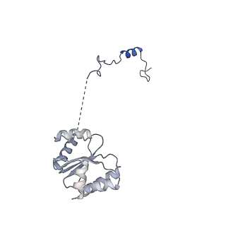 2876_3j9m_I_v1-1
Structure of the human mitochondrial ribosome (class 1)