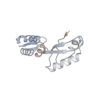 2876_3j9m_J_v1-1
Structure of the human mitochondrial ribosome (class 1)