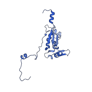 2876_3j9m_K_v1-1
Structure of the human mitochondrial ribosome (class 1)