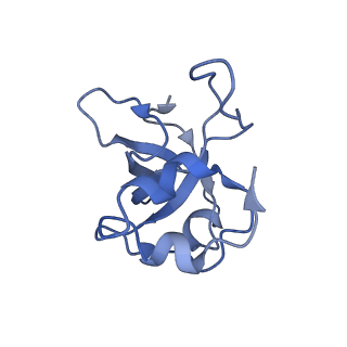 2876_3j9m_L_v1-1
Structure of the human mitochondrial ribosome (class 1)
