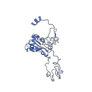 2876_3j9m_M_v1-1
Structure of the human mitochondrial ribosome (class 1)