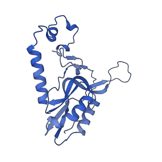 2876_3j9m_N_v1-1
Structure of the human mitochondrial ribosome (class 1)