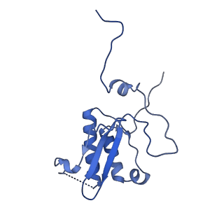 2876_3j9m_P_v1-1
Structure of the human mitochondrial ribosome (class 1)