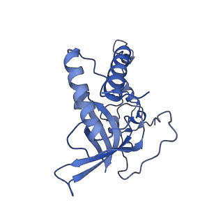 2876_3j9m_Q_v1-1
Structure of the human mitochondrial ribosome (class 1)