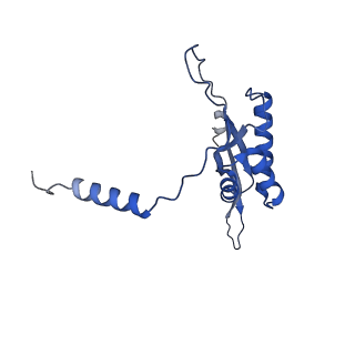 2876_3j9m_T_v1-1
Structure of the human mitochondrial ribosome (class 1)
