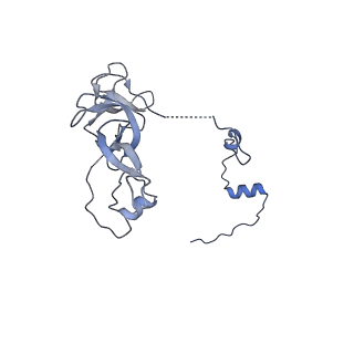 2876_3j9m_V_v1-1
Structure of the human mitochondrial ribosome (class 1)