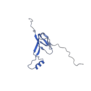 2876_3j9m_W_v1-1
Structure of the human mitochondrial ribosome (class 1)