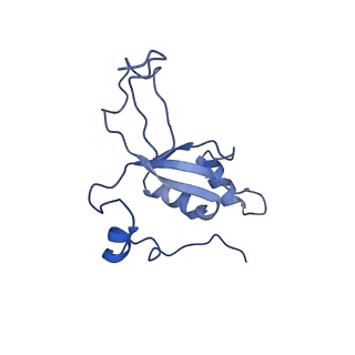 2876_3j9m_Z_v1-1
Structure of the human mitochondrial ribosome (class 1)