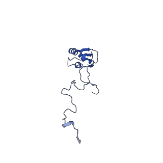 2876_3j9m_b_v1-1
Structure of the human mitochondrial ribosome (class 1)