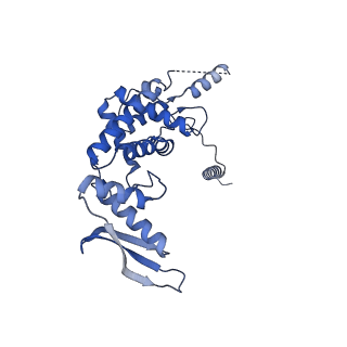 2876_3j9m_c_v1-1
Structure of the human mitochondrial ribosome (class 1)