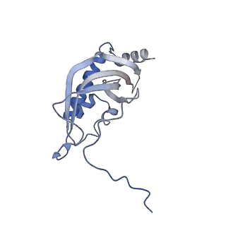 2876_3j9m_d_v1-1
Structure of the human mitochondrial ribosome (class 1)