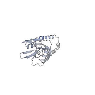 2876_3j9m_e_v1-1
Structure of the human mitochondrial ribosome (class 1)