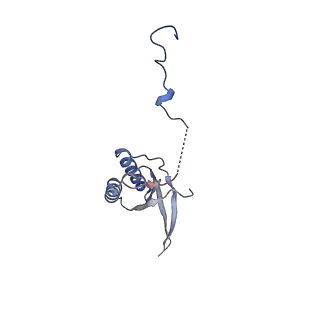 2876_3j9m_f_v1-1
Structure of the human mitochondrial ribosome (class 1)