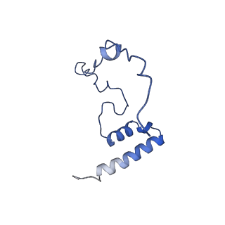 2876_3j9m_i_v1-1
Structure of the human mitochondrial ribosome (class 1)
