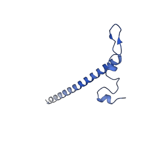 2876_3j9m_j_v1-1
Structure of the human mitochondrial ribosome (class 1)