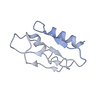 2876_3j9m_k_v1-1
Structure of the human mitochondrial ribosome (class 1)