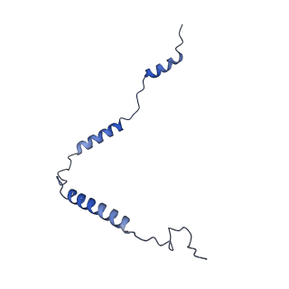 2876_3j9m_o_v1-1
Structure of the human mitochondrial ribosome (class 1)