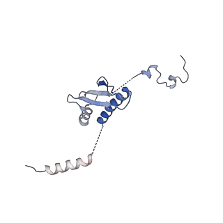 2876_3j9m_p_v1-1
Structure of the human mitochondrial ribosome (class 1)