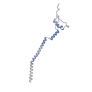 2876_3j9m_q_v1-1
Structure of the human mitochondrial ribosome (class 1)