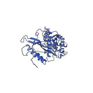 2876_3j9m_s_v1-1
Structure of the human mitochondrial ribosome (class 1)