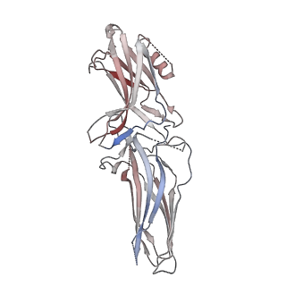 36090_8j97_A_v1-1
Structure of Muscarinic receptor (M2R) in complex with beta-arrestin1 (Local refine, cross-linked)