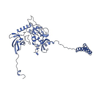 36107_8j9h_1A_v1-1
Cryo-EM structure of Euglena gracilis respiratory complex I, deactive state