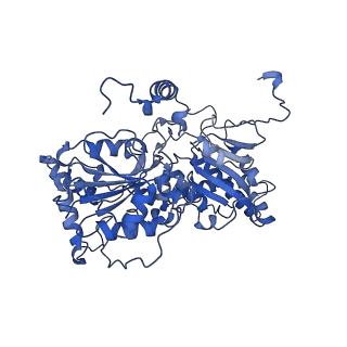 36107_8j9h_1B_v1-1
Cryo-EM structure of Euglena gracilis respiratory complex I, deactive state