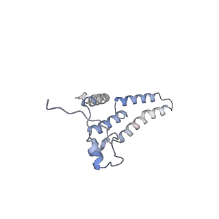 36107_8j9h_2B_v1-1
Cryo-EM structure of Euglena gracilis respiratory complex I, deactive state