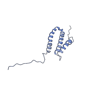 36107_8j9h_4L_v1-1
Cryo-EM structure of Euglena gracilis respiratory complex I, deactive state