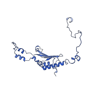 36107_8j9h_A2_v1-1
Cryo-EM structure of Euglena gracilis respiratory complex I, deactive state