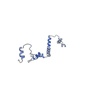 36107_8j9h_A3_v1-1
Cryo-EM structure of Euglena gracilis respiratory complex I, deactive state