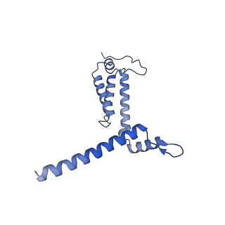 36107_8j9h_A5_v1-1
Cryo-EM structure of Euglena gracilis respiratory complex I, deactive state