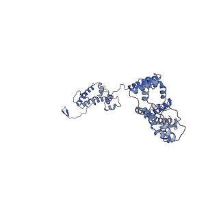 36107_8j9h_A6_v1-1
Cryo-EM structure of Euglena gracilis respiratory complex I, deactive state