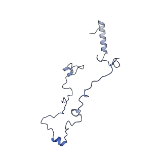 36107_8j9h_A7_v1-1
Cryo-EM structure of Euglena gracilis respiratory complex I, deactive state