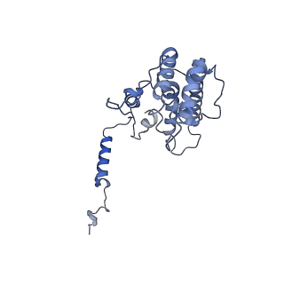 36107_8j9h_A8_v1-1
Cryo-EM structure of Euglena gracilis respiratory complex I, deactive state