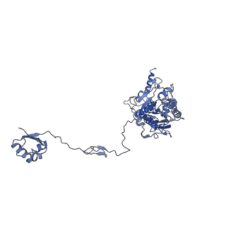 36107_8j9h_A9_v1-1
Cryo-EM structure of Euglena gracilis respiratory complex I, deactive state