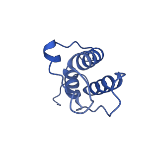 36107_8j9h_AB_v1-1
Cryo-EM structure of Euglena gracilis respiratory complex I, deactive state