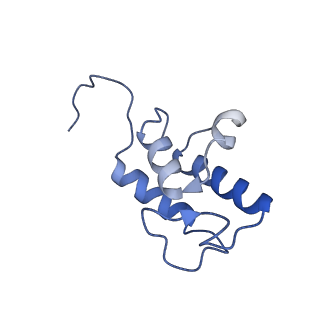 36107_8j9h_AC_v1-1
Cryo-EM structure of Euglena gracilis respiratory complex I, deactive state