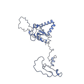 36107_8j9h_AL_v1-1
Cryo-EM structure of Euglena gracilis respiratory complex I, deactive state