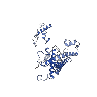 36107_8j9h_AN_v1-1
Cryo-EM structure of Euglena gracilis respiratory complex I, deactive state