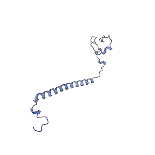 36107_8j9h_B2_v1-1
Cryo-EM structure of Euglena gracilis respiratory complex I, deactive state