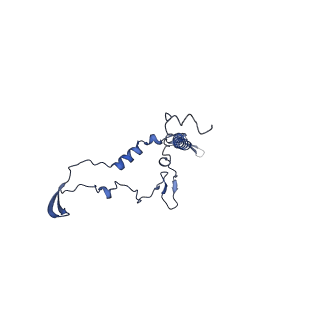 36107_8j9h_B4_v1-1
Cryo-EM structure of Euglena gracilis respiratory complex I, deactive state