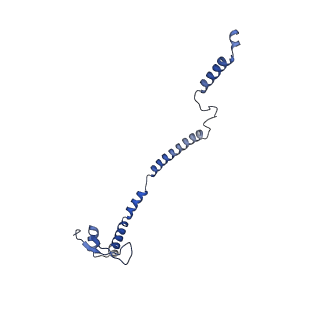 36107_8j9h_B5_v1-1
Cryo-EM structure of Euglena gracilis respiratory complex I, deactive state