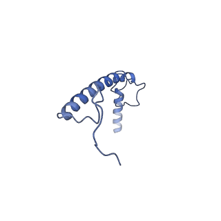 36107_8j9h_B6_v1-1
Cryo-EM structure of Euglena gracilis respiratory complex I, deactive state