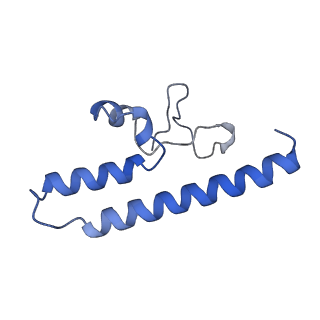 36107_8j9h_B7_v1-1
Cryo-EM structure of Euglena gracilis respiratory complex I, deactive state