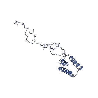 36107_8j9h_B9_v1-1
Cryo-EM structure of Euglena gracilis respiratory complex I, deactive state