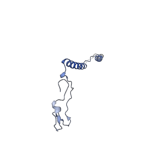 36107_8j9h_BM_v1-1
Cryo-EM structure of Euglena gracilis respiratory complex I, deactive state